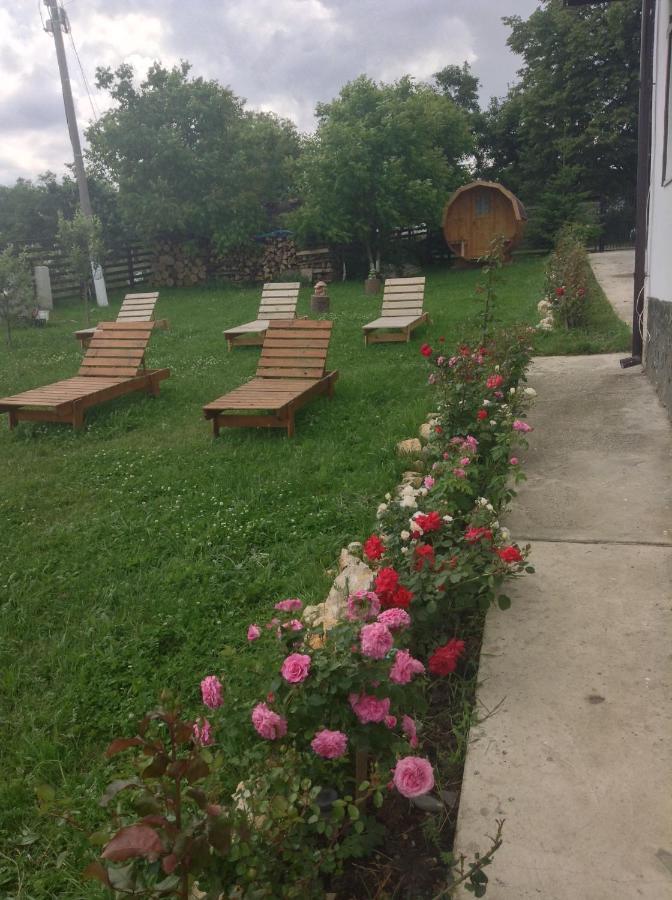 Elder Villa Bran  Exterior foto